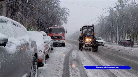 Убежище в заслоне от непогоды: важность наличия деревьев