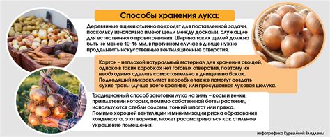 Уборка и хранение урожая: основные рекомендации для сохранения качества