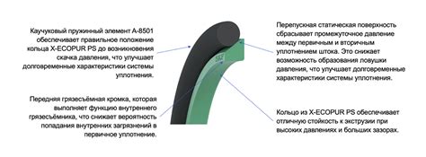 Увеличение срока службы обуви благодаря менее интенсивному износу