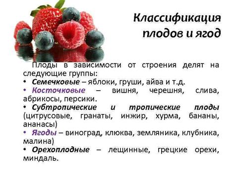 Удивительное многообразие свежих плодов в нашем окружении