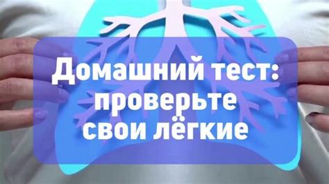 Удобный и быстрый способ проверить свое здоровье с помощью рентгена легких