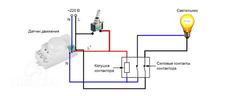 Узнайте о порядке расположения контактов в схеме подключения