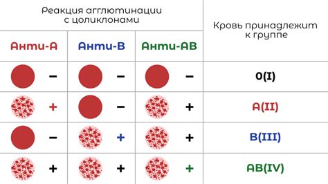 Узнайте о симптомах гипокоагуляции крови: как их определить и какая опасность?