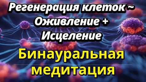 Укрепление иммунной системы через осознанный выбор пищи