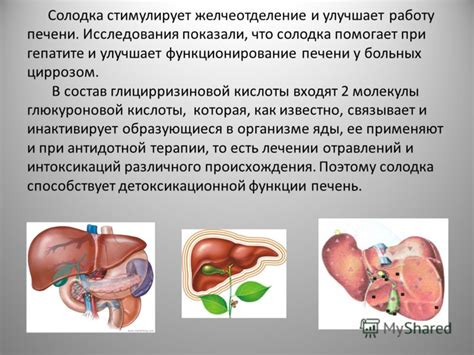 Улучшает функционирование печени