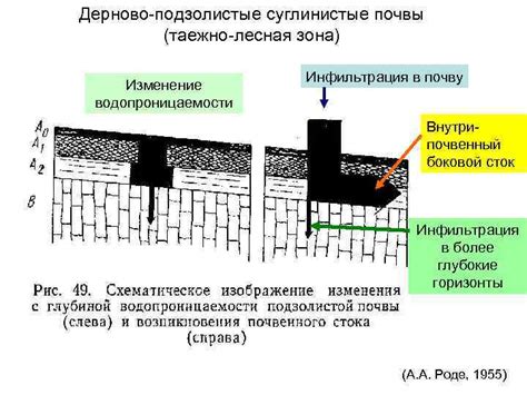 Улучшение водопроницаемости и дренирования почвы в малиннике