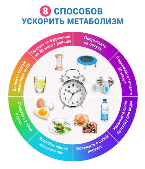 Улучшение обмена веществ при употреблении пищи в ограниченное время суток