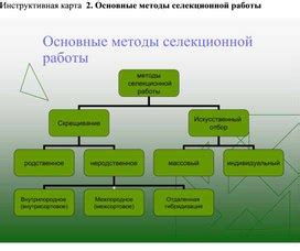 Улучшение селекционной работы через применение удаленного скрещивания