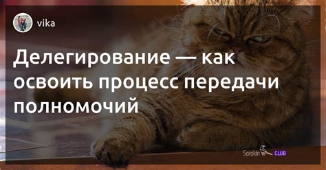 Умение передачи полномочий и совместной работы