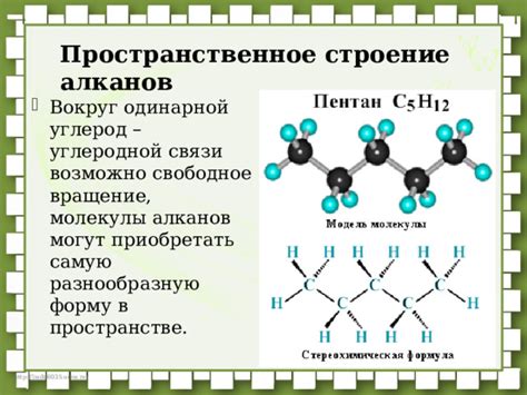 Уникальная роль основных компонентов углеродной молекулы