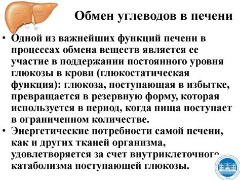 Уникальное расположение кармического покрытия в различных органах и системах организма