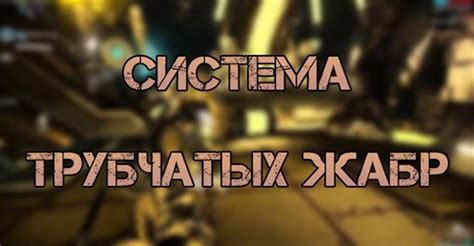 Уникальные места Варфрейма: находки для богатой добычи трубчатых жабр