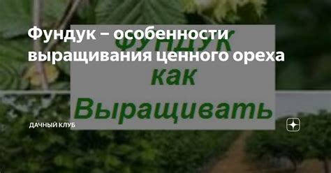 Уникальные особенности и сохранение свойств ценного продукта