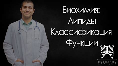 Уникальные особенности организма эвглены: отличительные черты