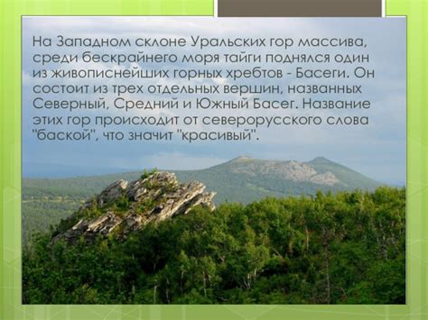 Уникальные природные ландшафты Судака: от величественных гор до бескрайнего моря