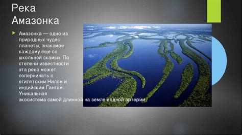 Уникальные природные особенности водной артерии без границ