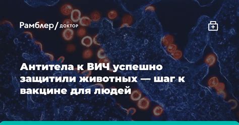 Уникальные результаты: найдены антитела, успешно парализующие распространение опасного вируса