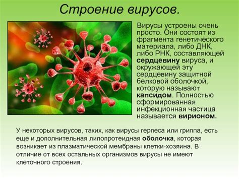 Уникальный аспект: особенности структуры генетического материала вирусов