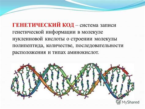 Уникальный генетический код поганки