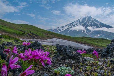 Уникальный мир Камчатки: вулканы и гейзеры