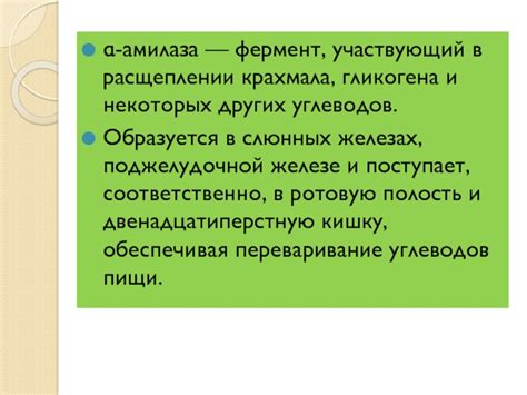 Уникальный раздел: Роль слюны в расщеплении крахмала