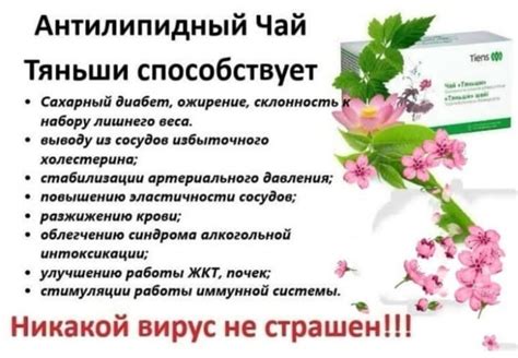 Уникальный состав Венаруса: как его компоненты помогают бороться с судорогами