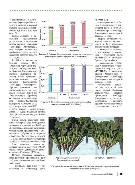 Условия и климатические особенности, способствующие продуктивности и возрастанию урожайности сахарной свеклы в Российской Федерации