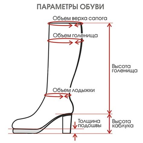 Установка правильной постановки ноги для определения обхвата голенища сапог