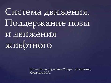 Установление правильной позы и поддержание ее