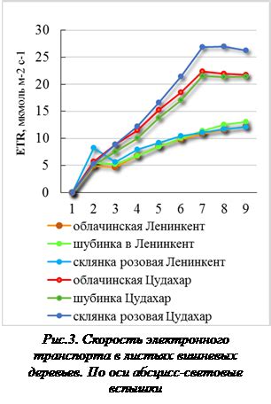 Утрата фотосинтетической активности