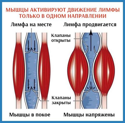 Ухудшение питания и гидрации кожи, потеря ее эластичности