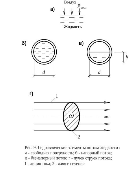 Участие в гидравлической регуляции