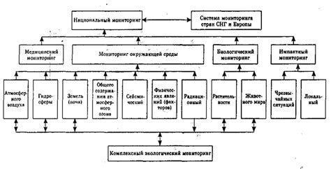 Участие в программе мониторинга