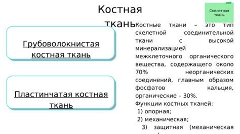 Участие костных элементов в движении и поддержке организма