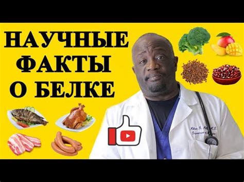 Ученые: точки зрения и научные исследования