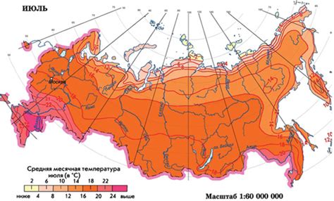 Учет климатических условий при выборе локации для соломинки: основные факторы