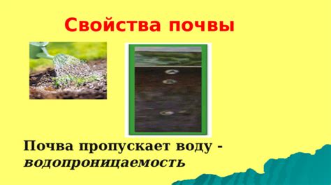 Учтите свойства почвы, отталкивающие воду