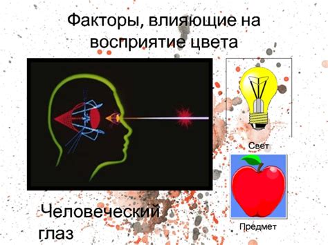 Факторы, влияющие на восприятие цвета глаз