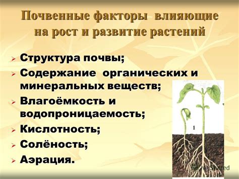 Факторы, влияющие на рост и развитие опят