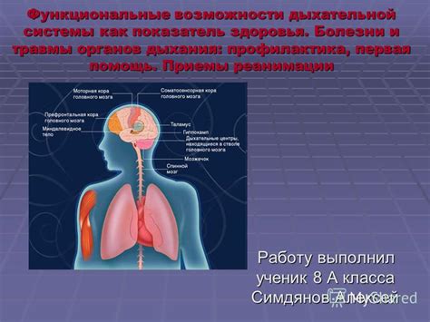 Факторы возникновения кровоизлияния в органах дыхательной системы при воздействии травмы