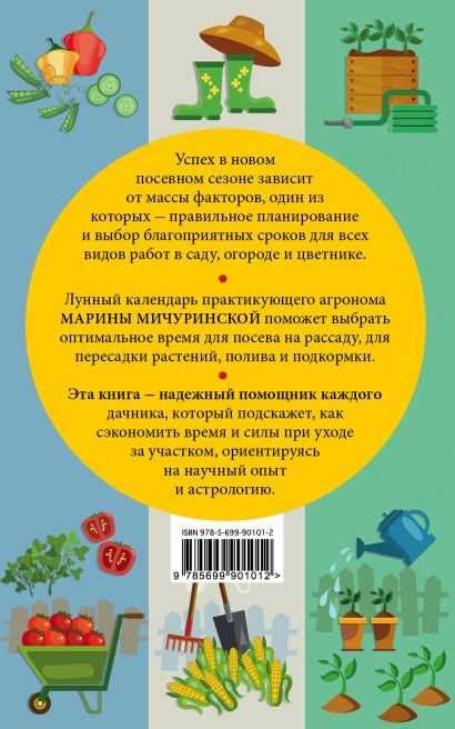 Факторы и методы определения оптимального времени посадки огурцов и помидоров