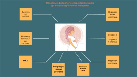 Физиологические изменения как главная причина увеличения объема живота