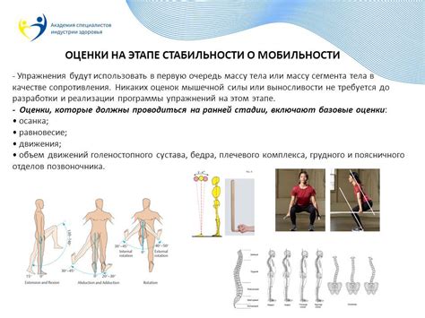 Физиотерапевтические мероприятия и комплексы упражнений для улучшения мобильности плюснефалангового сустава стопы