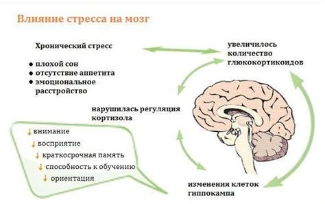 Физические и психологические аспекты сновидений