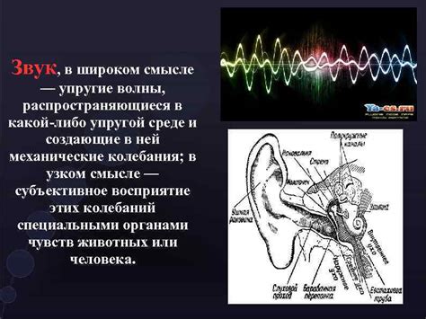 Физические основы передачи звуковых волн: изучение принципов