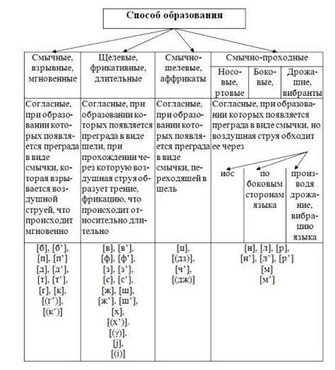 Фонетические механизмы, приведшие к формированию группировки гласных