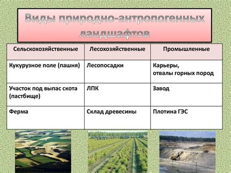 Формы земельной поверхности Магелланова пути: особенности и значимость