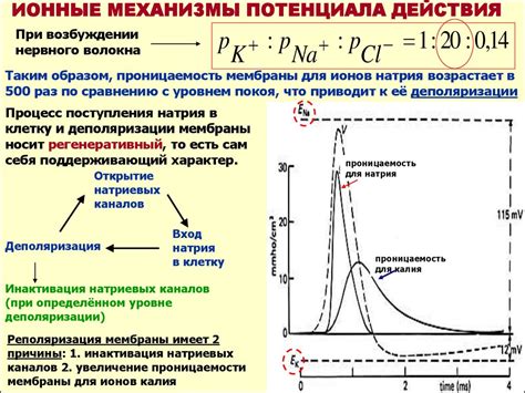 Фракции и их потенциал: