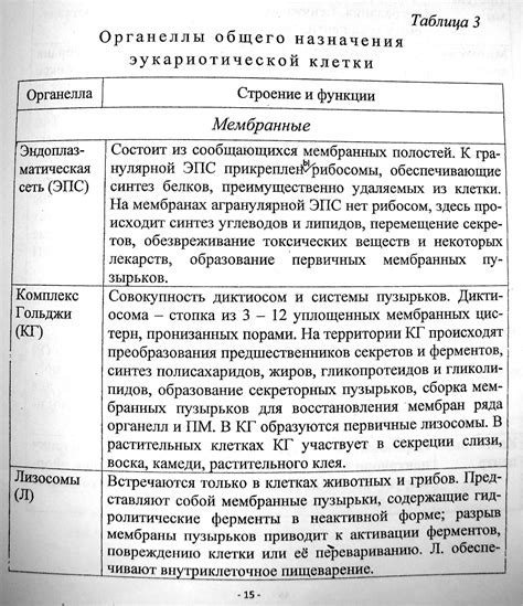 Фриц фон Валах: основы цитогенетики и первые эксперименты