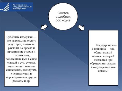 Функции государственного представителя в арбитражном судебном процессе